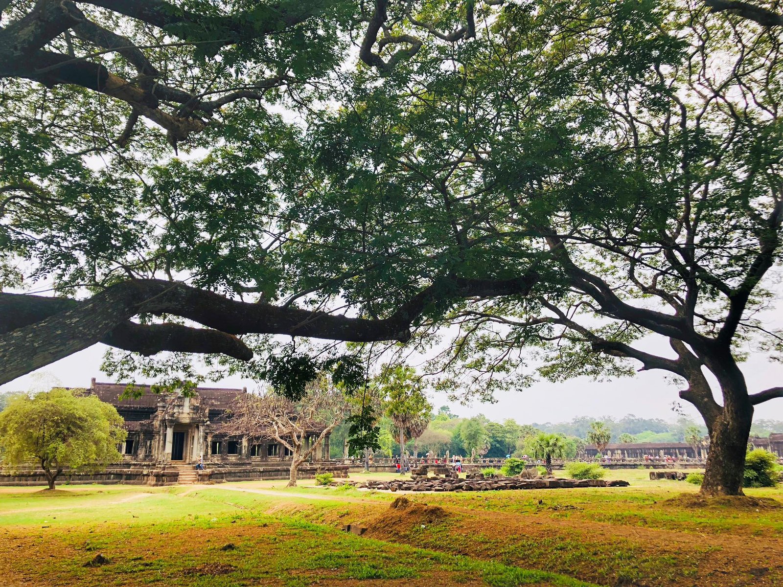 Easy Siem Reap Cycling Tour 4 Days